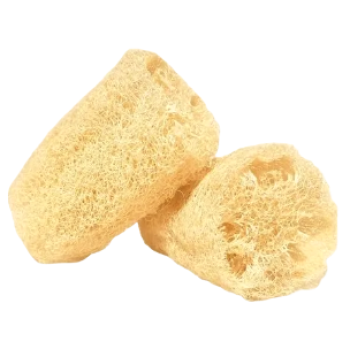 BUCHA DE BANHO VEGETAL INATURA PED. C/2 KI-BELLEZA