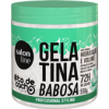 GELATINA TODECACHO BABOSA 550GR SALON LINE