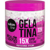 GELATINA MIX TODECACHO 550G SALON LINE