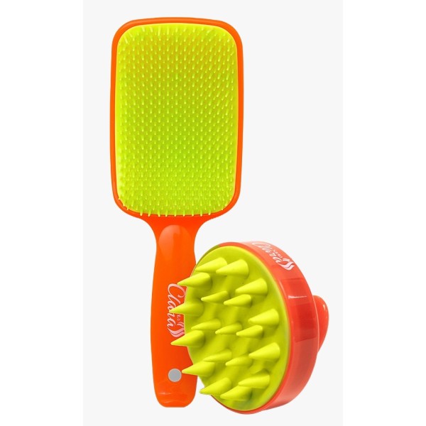 KIT DE ESCOVAS COLOR-LRJ/VRD SANTA CLARA